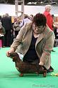 Crufts2011_2 1127